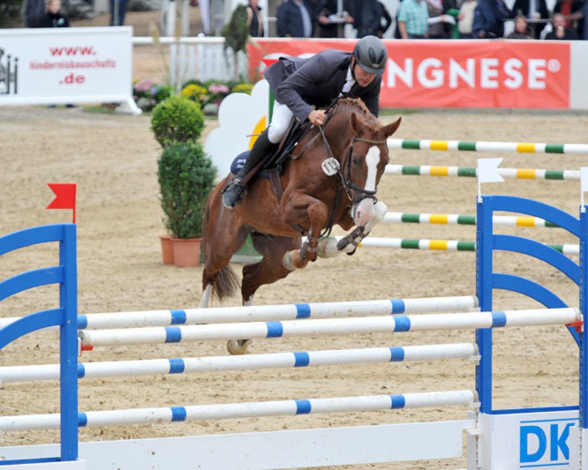 stallion Candinas (Holsteiner, 2010, from Catoki)