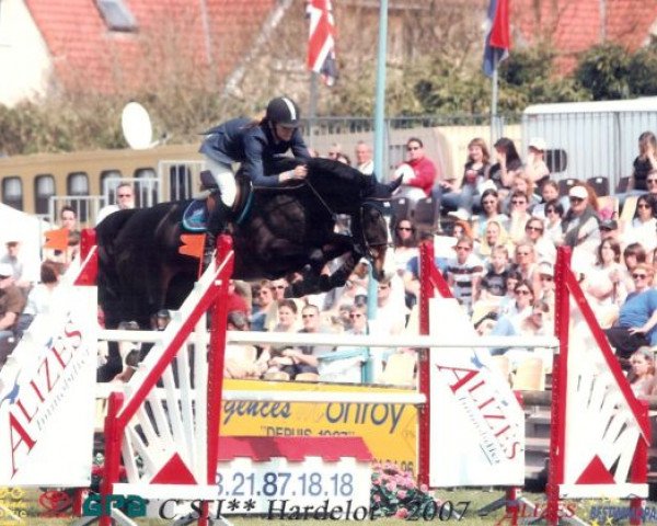 Springpferd Heechhiems Tersina (Koninklijk Warmbloed Paardenstamboek Nederland (KWPN), 2000, von Corland)