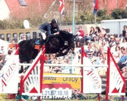 jumper Heechhiems Tersina (KWPN (Royal Dutch Sporthorse), 2000, from Corland)