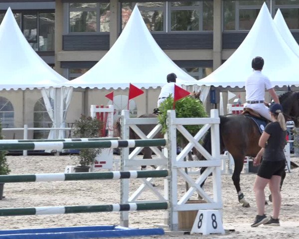 Reitturnier Zug 2019