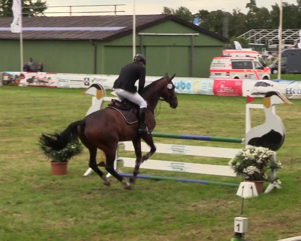 Reitturnier Rendsburg 2019