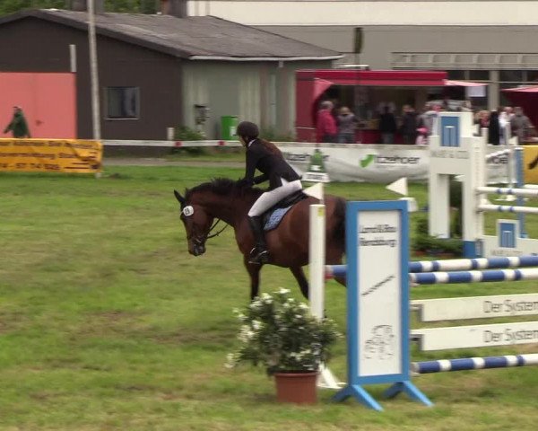 Reitturnier Rendsburg 2019