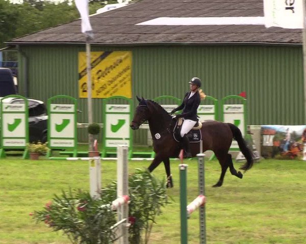 Reitturnier Rendsburg 2019