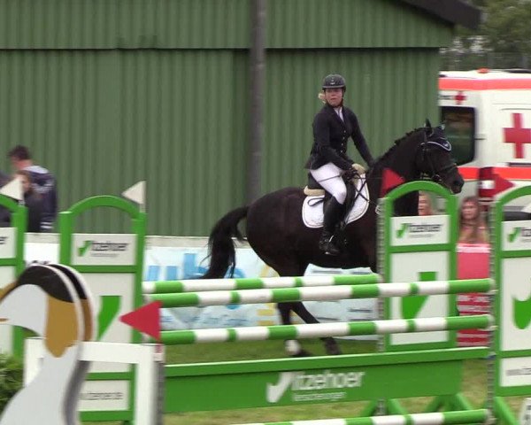Reitturnier Rendsburg 2019