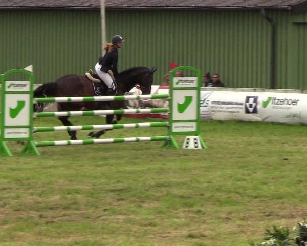Reitturnier Rendsburg 2019