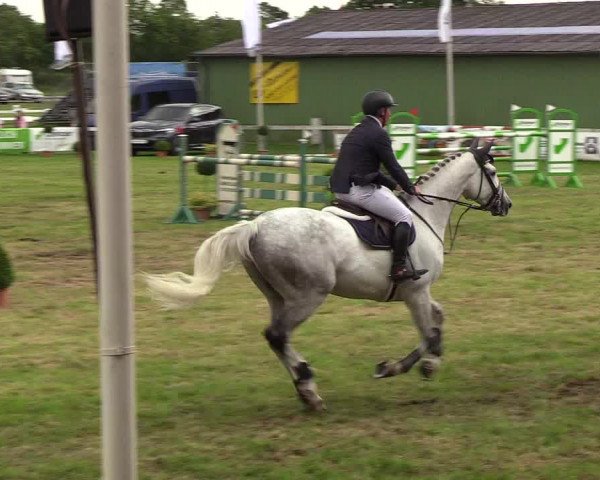 Reitturnier Rendsburg 2019