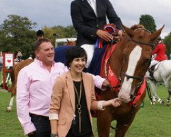 horse Amira (Belgian Warmblood, 2000, from Grandeur)