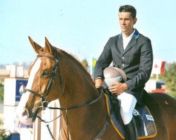 Pferd Quinton (Belgisches Warmblut, 1993, von Grandeur)