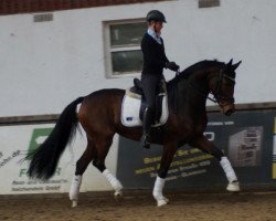 dressage horse Firaprinzess (Hannoveraner, 2011, from Fidertanz)