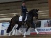 dressage horse Behind Blue Eyes (Hanoverian, 2010, from Belissimo NRW)