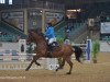 jumper Upanisad di San Patrignano (Italian Warmblood, 2002, from Mr Blue)