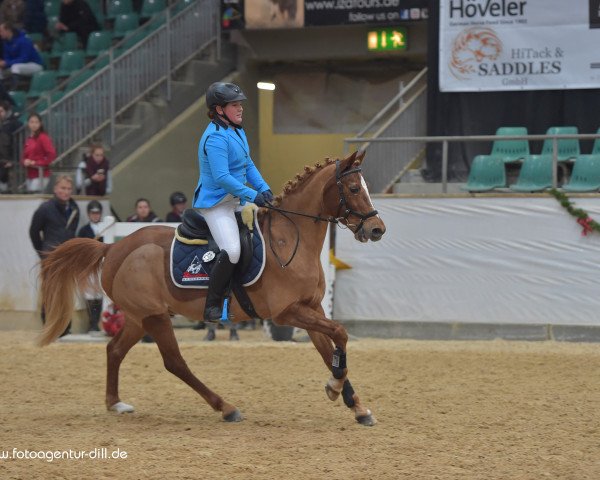 jumper Raphael 95 (German Riding Pony, 1998, from Jacobspeel's Rocky)