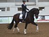 dressage horse Frederic (Hanoverian, 2011, from Fidertanz)