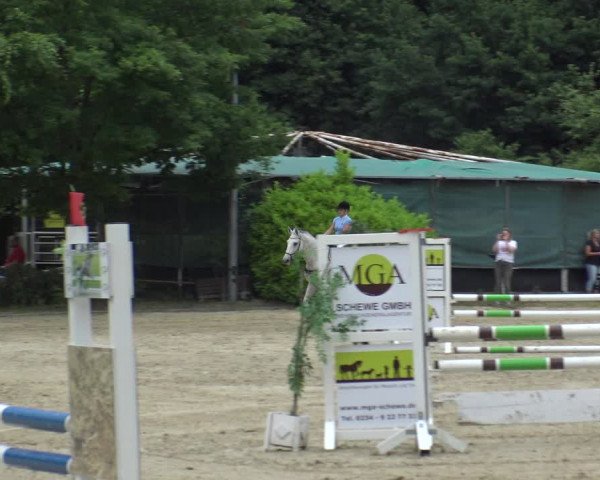 Reitturnier Bochum-Nord 2019