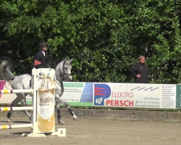Reitturnier Zeiskam 2019