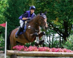 broodmare Prime Time (Trakehner, 2008, from Lichtblick TSF)