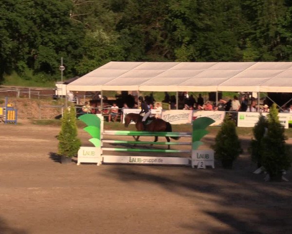 Reitturnier Lgl.-Oberhain, B95 2019