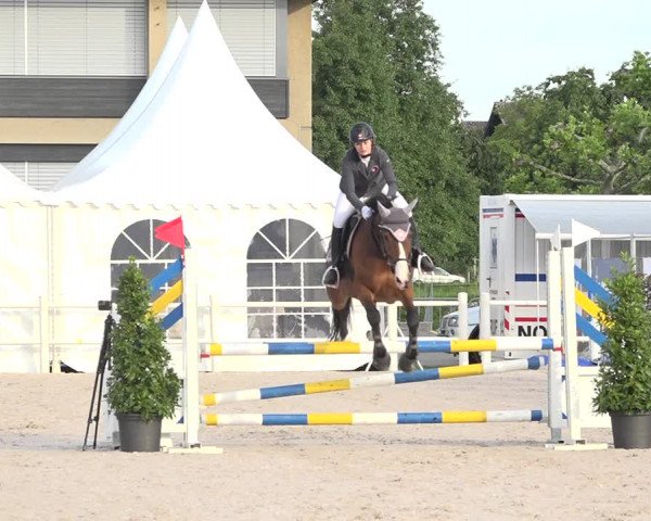 Reitturnier Zug 2019
