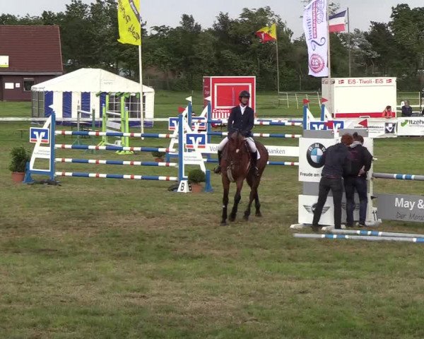 Reitturnier Rendsburg 2019