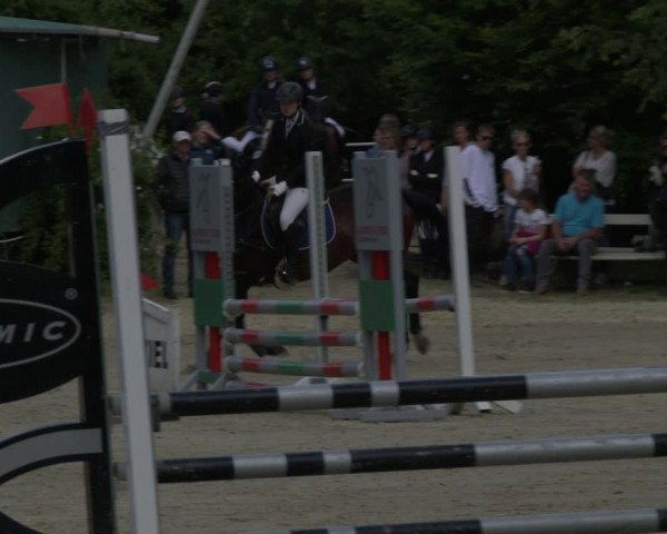 Reitturnier Bochum-Nord 2019
