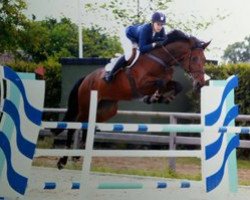 Pferd Fokke van Orshof (Belgisches Warmblut, 2005, von Nagano)