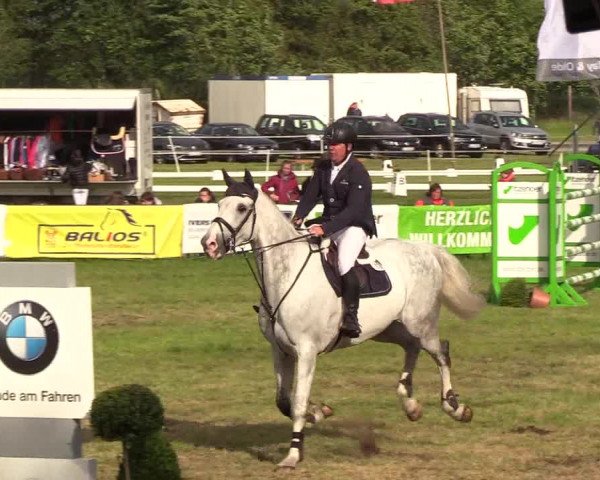 Reitturnier Rendsburg 2019