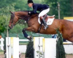 Zuchtstute Luxurieuse van de Begijnakker (Belgisches Warmblut, 1988, von Rebel Z I)