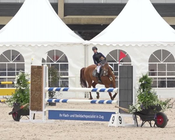 Reitturnier Zug 2019