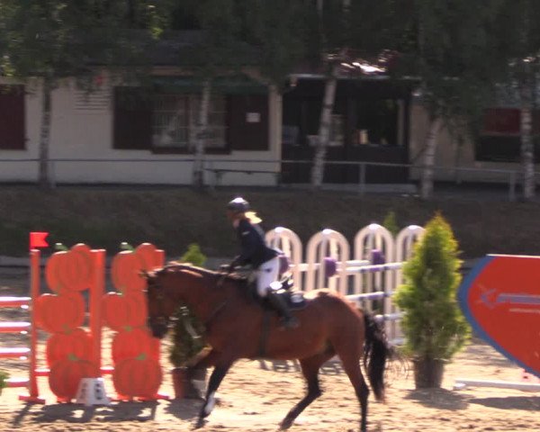 Reitturnier Lgl.-Oberhain, B95 2019