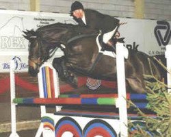 broodmare Vicky Gravvænge (Danish Warmblood, 1987, from Waldstern)