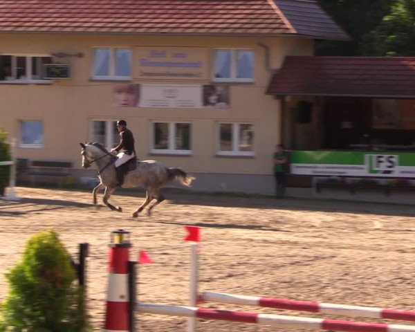 Reitturnier Lgl.-Oberhain, B95 2019