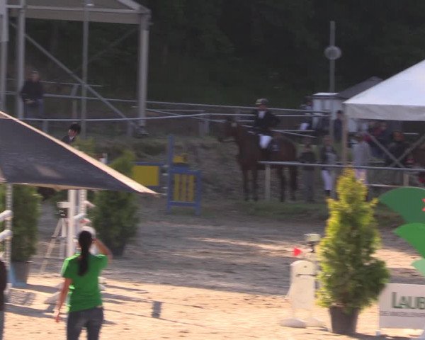 Reitturnier Lgl.-Oberhain, B95 2019