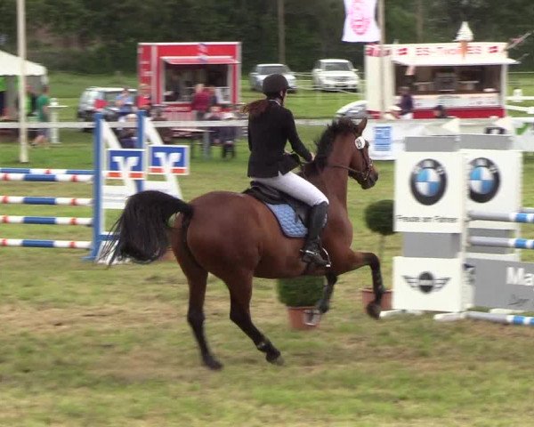 Reitturnier Rendsburg 2019