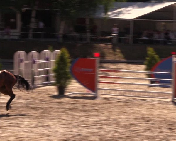 Reitturnier Lgl.-Oberhain, B95 2019