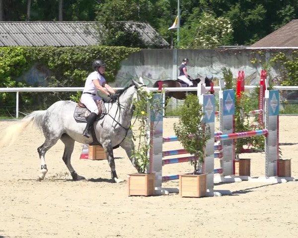 Reitturnier Münsingen 2019
