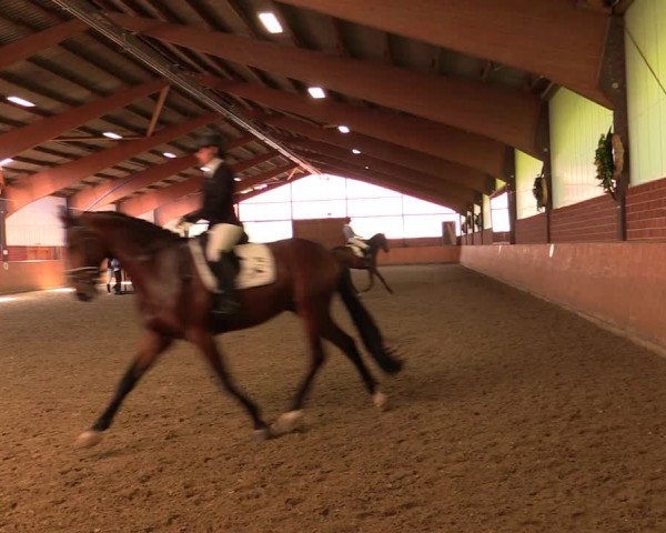 Reitturnier Iserlohn-Kalthof 2019