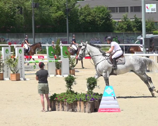 Reitturnier Münsingen 2019