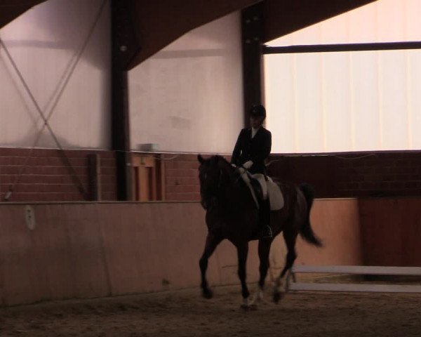 Reitturnier Iserlohn-Kalthof 2019