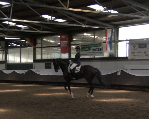 Reitturnier Bochum-Nord 2019