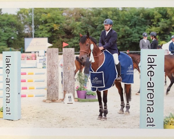 Reitanlage Maier