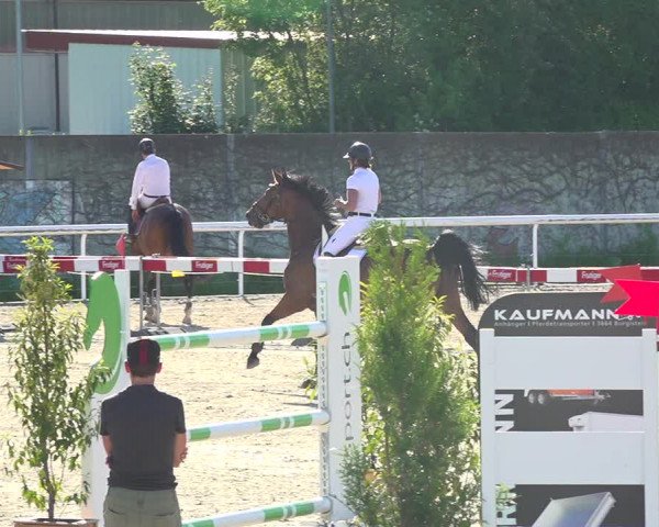 Reitturnier Münsingen 2019