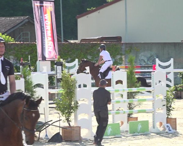 Reitturnier Münsingen 2019