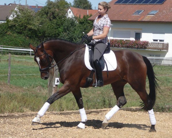 horse Mette Marit 4 (German Sport Horse, 2008, from Metteur)