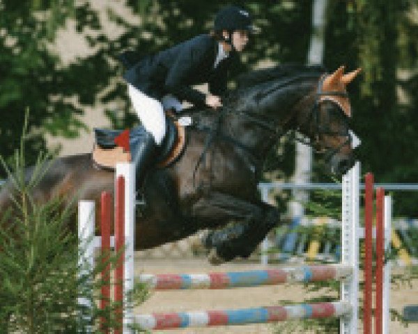 dressage horse Grafina (Oldenburg, 1994, from Portofino)