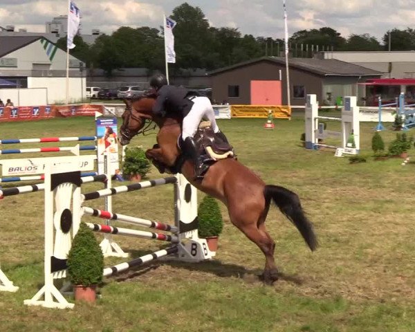 Reitturnier Rendsburg 2019