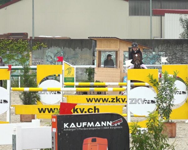 Reitturnier Münsingen 2019