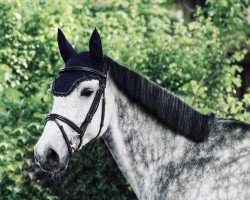 jumper Cyper's Leona (German Warmblood, 2011, from Cyper Space)