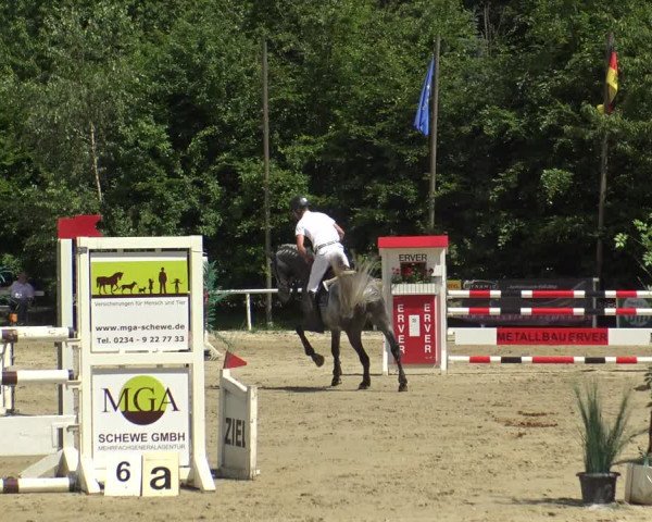Reitturnier Bochum-Nord 2019