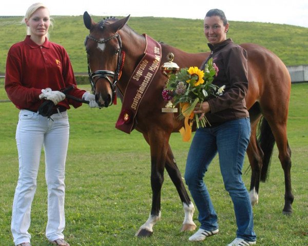broodmare Eichhof's Gina Royal (German Riding Pony, 2009, from Eichhofs Pik Royal)