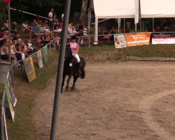 Reitturnier Lgl.-Oberhain, B95 2019